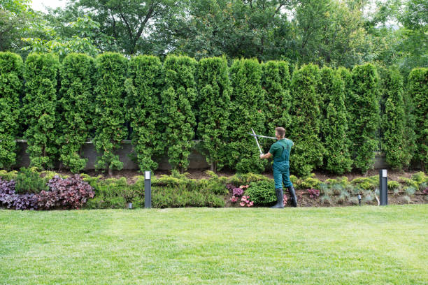 Best Arborist Consultation Services  in Lake Isabella, MI